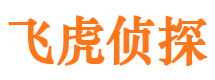 凤泉市调查公司